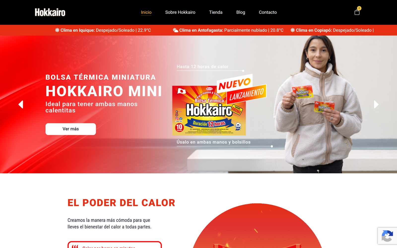 Captura del sitio web de Hokkairo